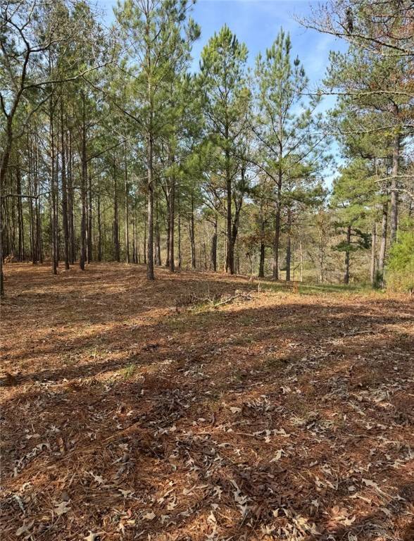Cross Hill, SC 29332,320 Watersedge DR