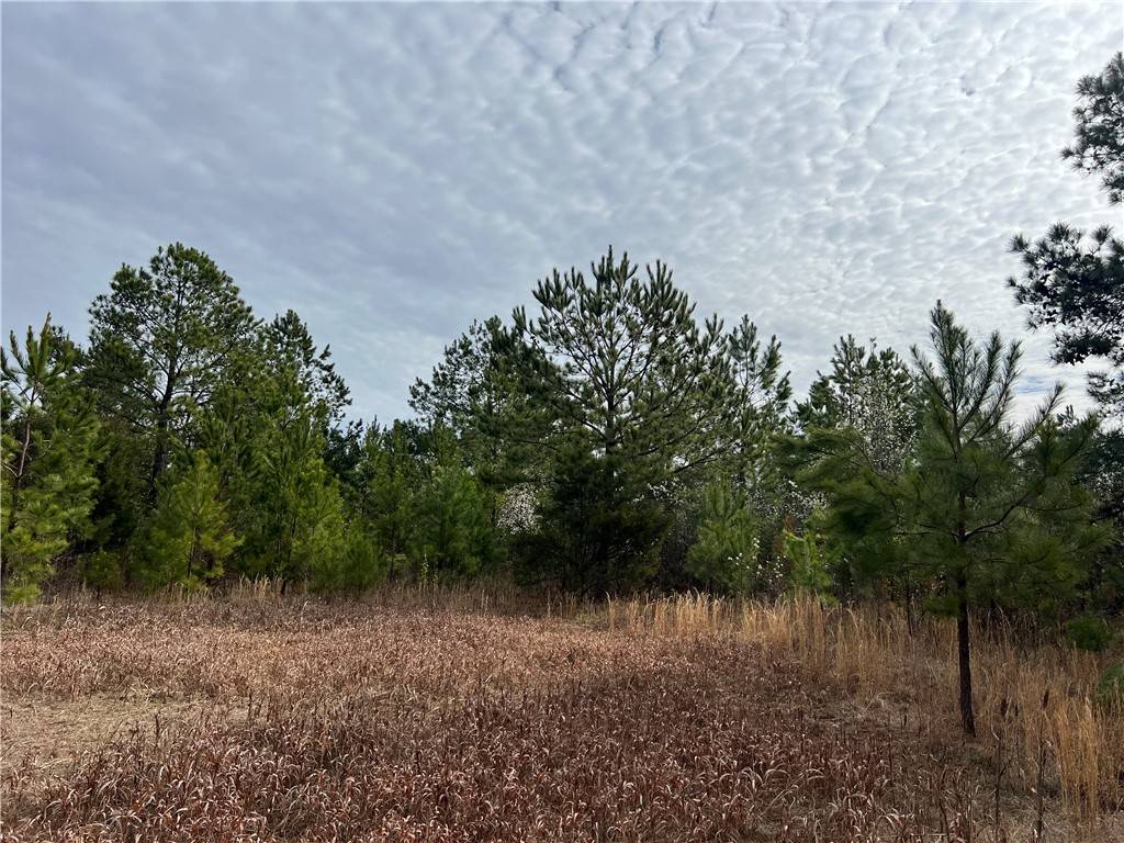 Anderson, SC 29624,Tract 1 Keys ST