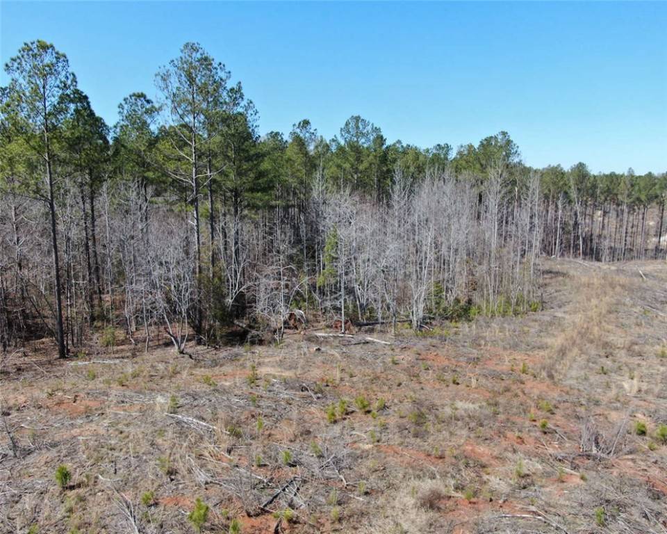 Ware Shoals, SC 29692,00 Elledge RD