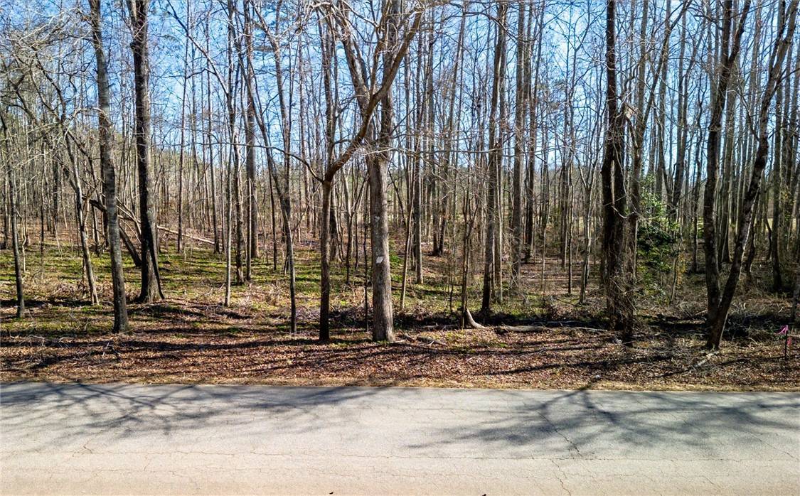 Pelzer, SC 29669,0 Broken Arrow DR