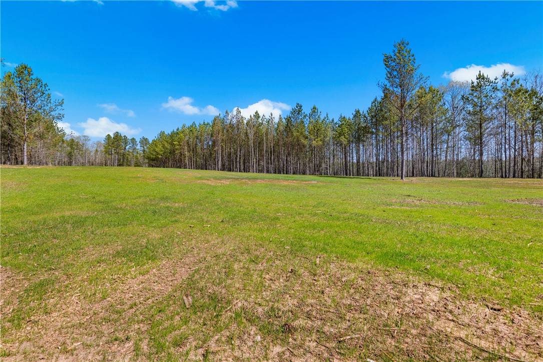 Honea Path, SC 29654,242 Mattie Campbell RD #Tract B