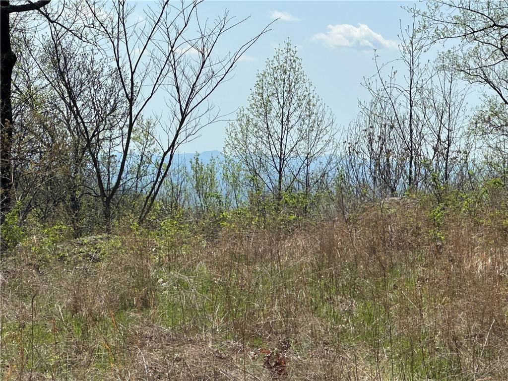 Landrum, SC 29356,20 Falling Star WAY