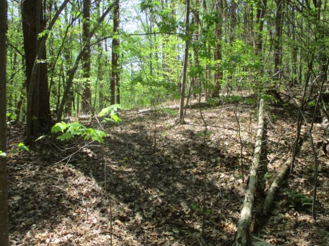 Westminster, SC 29693,Lot 596 Laurel DR