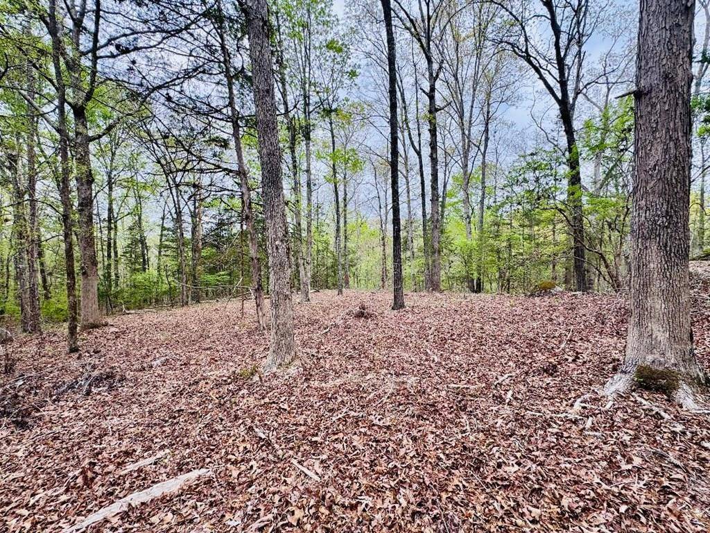 Abbeville, SC 29620,616 Lake Forest DR