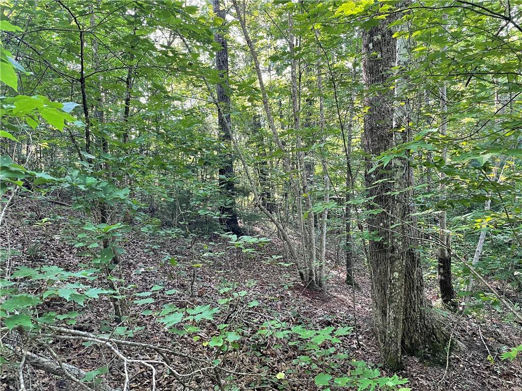 Tamassee, SC 29686,00 Whitewater Point RD