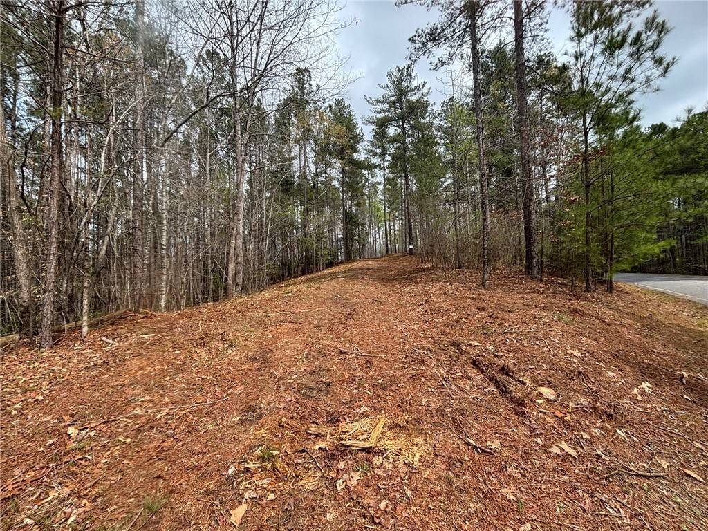 Salem, SC 29676,323 Long Cove TRL