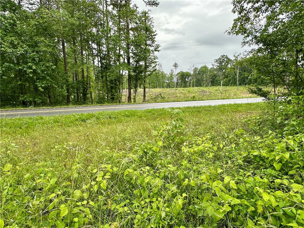 Walhalla, SC 29691,Lot 6 Coffee RD