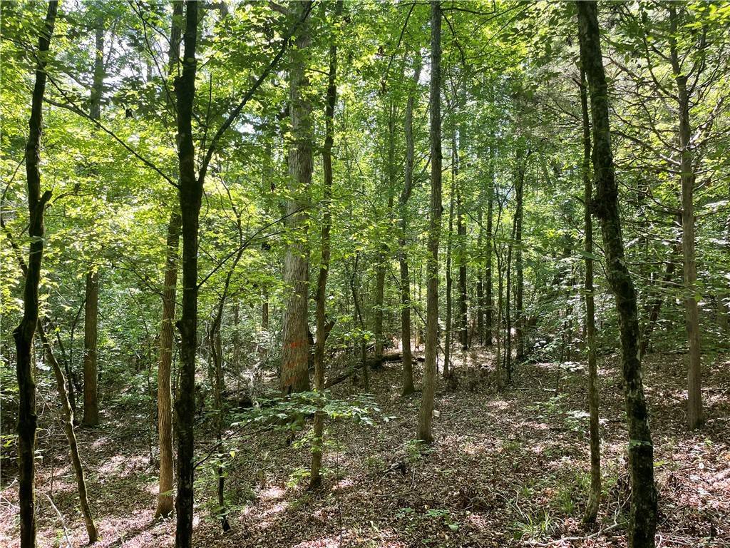 Gray Court, SC 29645,00 Lincoln RD