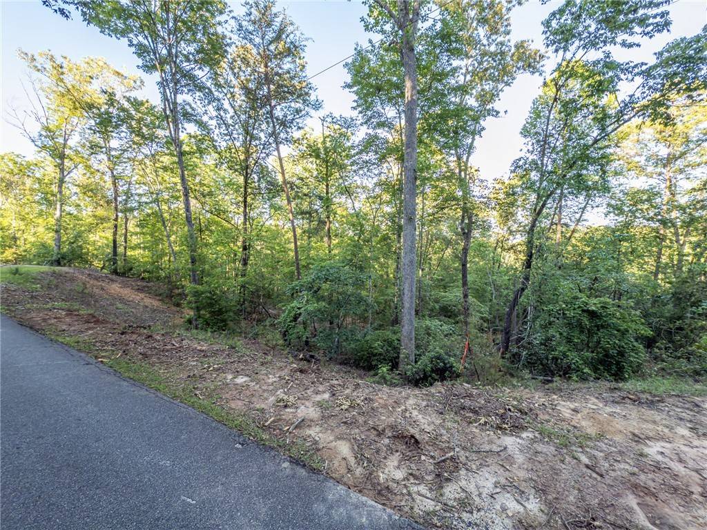 Sunset, SC 29685,Lot 23 Old Shallowford Bridge RD