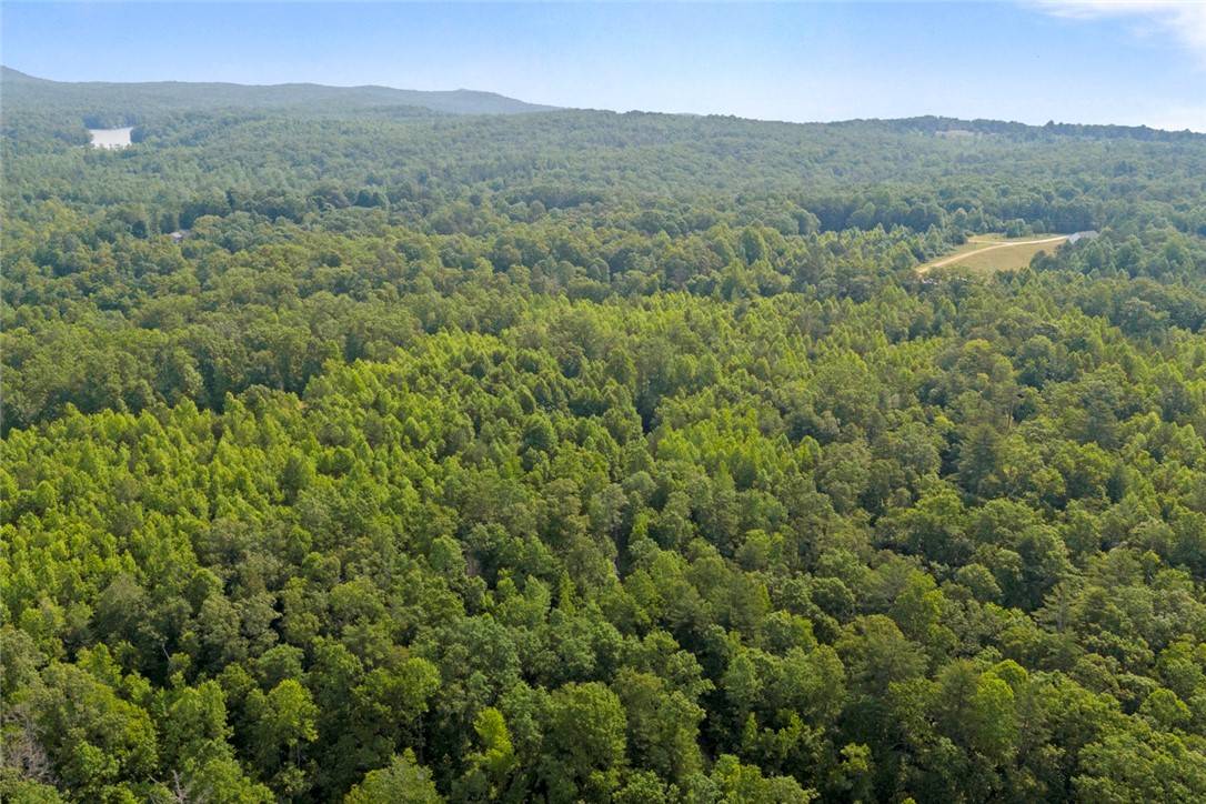 Mountain  Rest, SC 29664,00 Homeland (14.77 Acres) DR