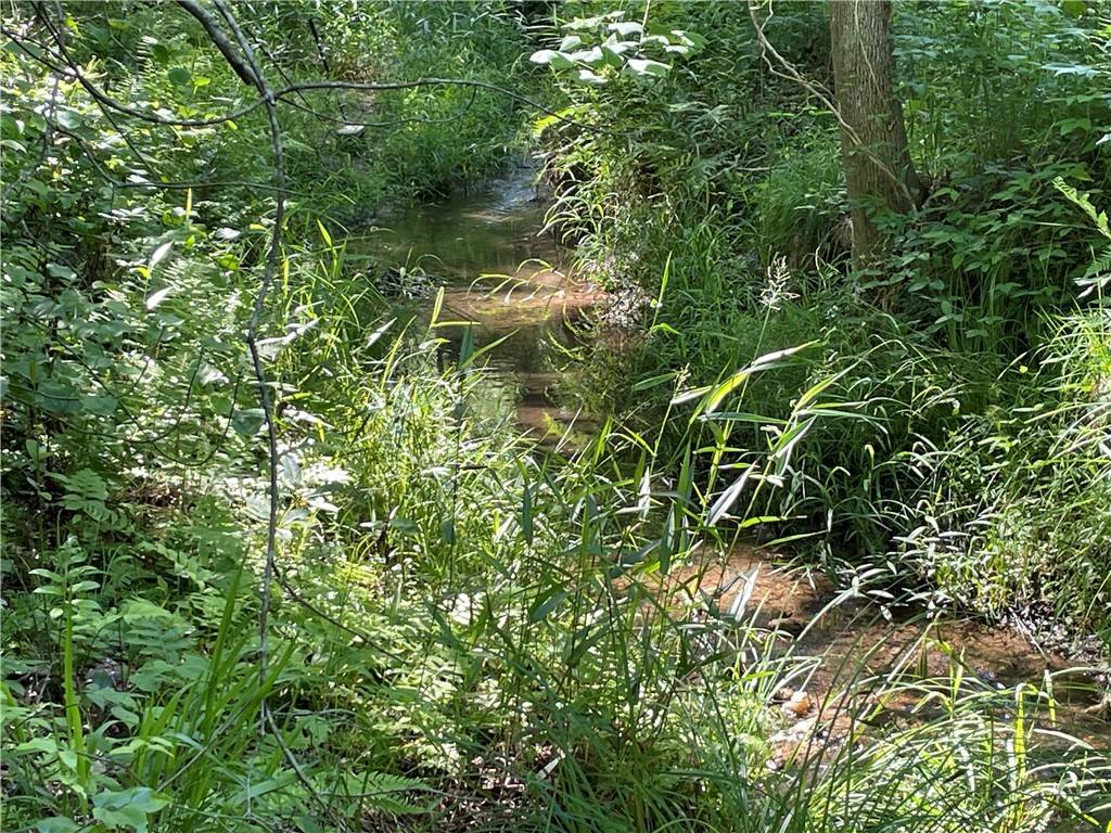 Honea Path, SC 29654,00 Clatworthy RD