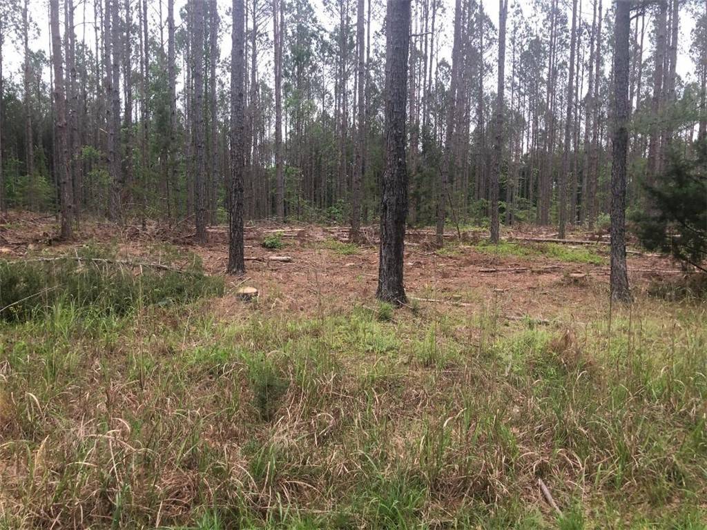 Iva, SC 29655,0 MIKE MCCONNELL AVE