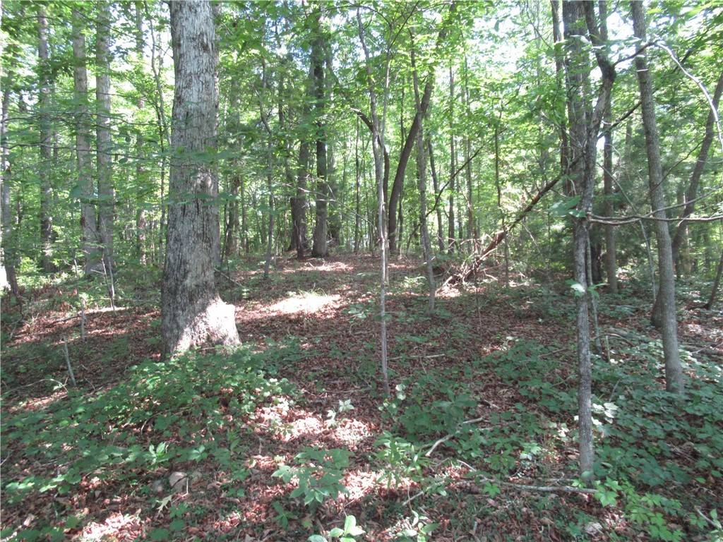 Pickens, SC 29671,205 Gauley Falls RD