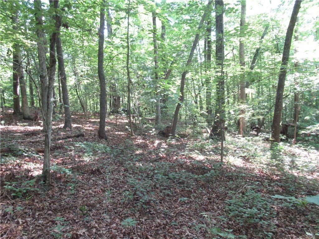 Pickens, SC 29671,205 Gauley Falls RD