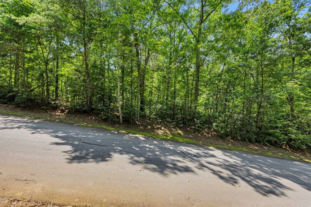 Travelers Rest, SC 29690,14 Alsace WAY