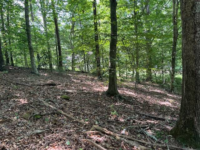 Walhalla, SC 29691,Lot 57 Fox Run RD