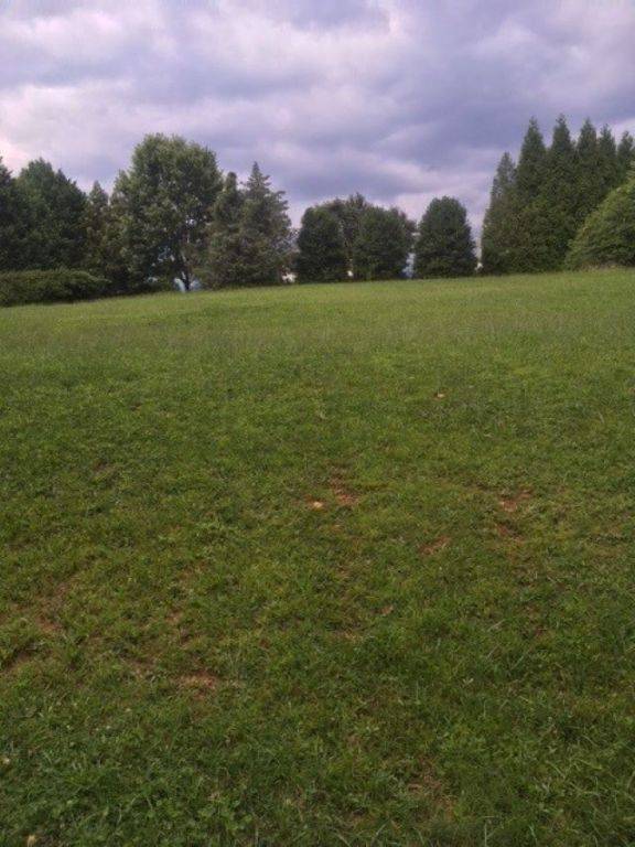 Belton, SC 29627,00 Murdock RD