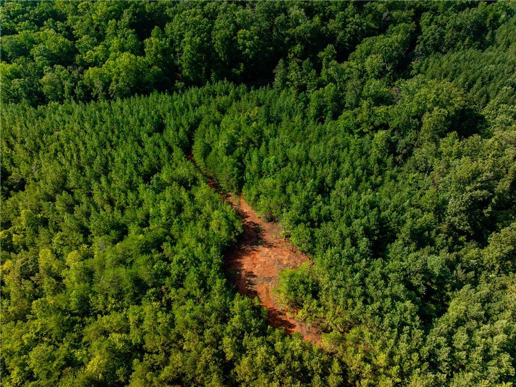 Seneca, SC 29672,01 Bayshore DR