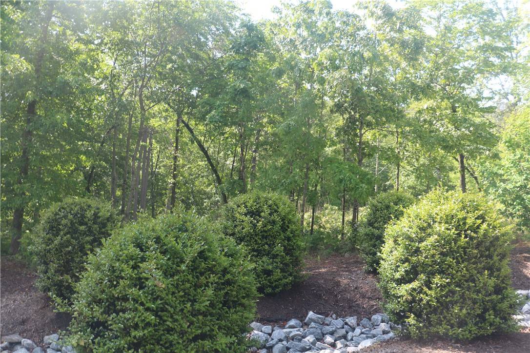 Seneca, SC 29672,TBD Spring Hollow DR