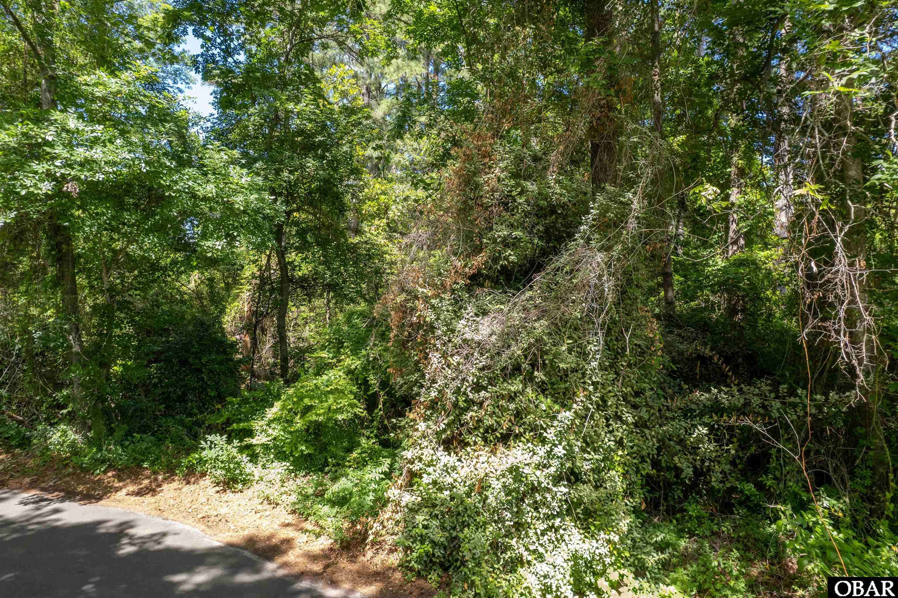 Manteo, NC 27954,144 Cannon Trail