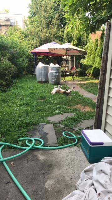 Guttenberg, NJ 07093,124 71ST ST