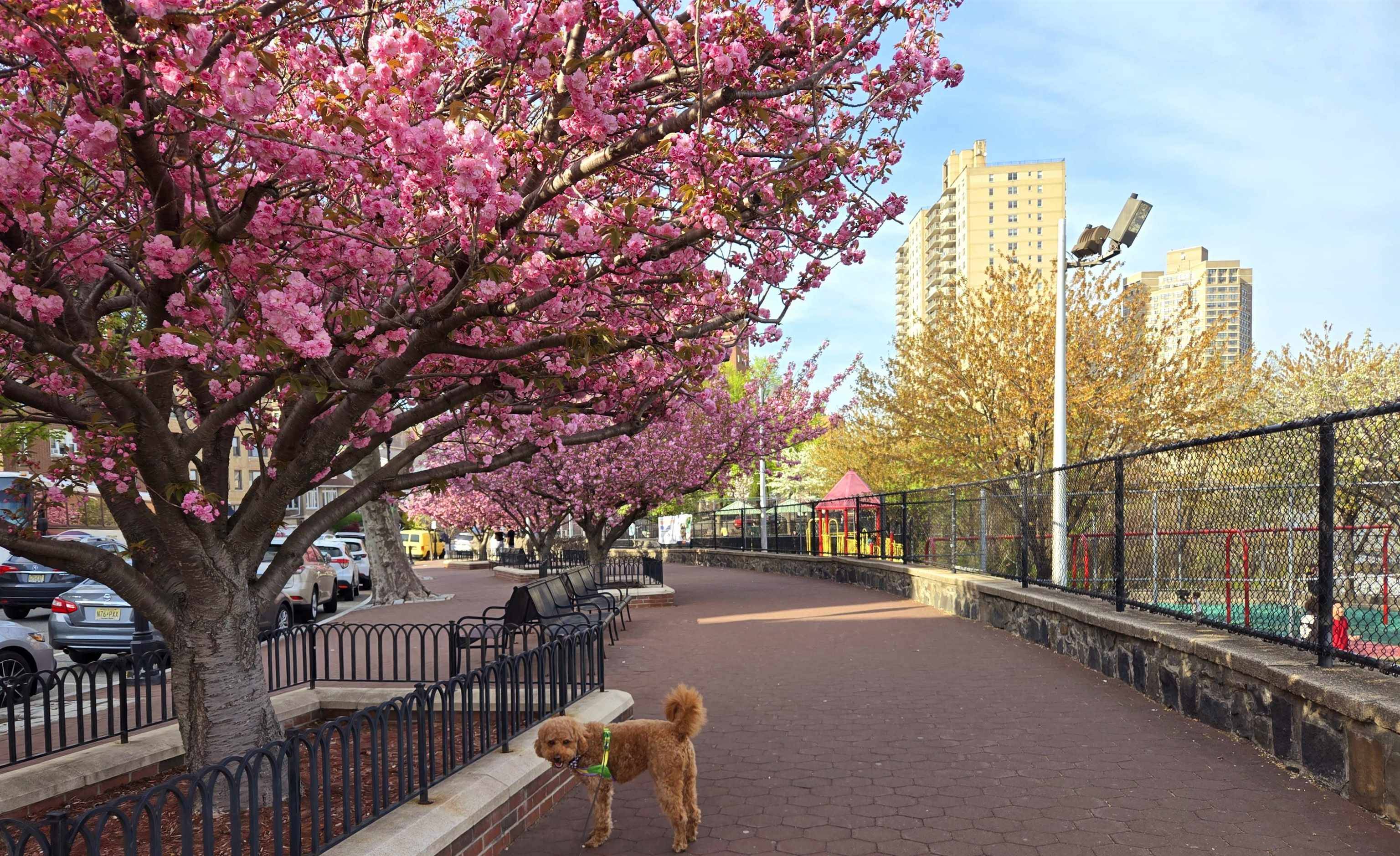 West New York, NJ 07093,6600 BLVD EAST  #AD