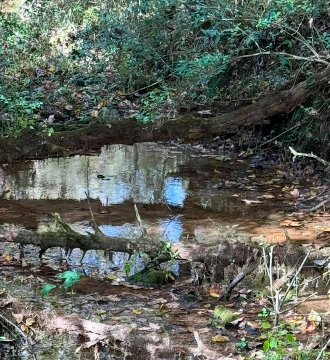 Englewood, TN 37329,0 Red River Road