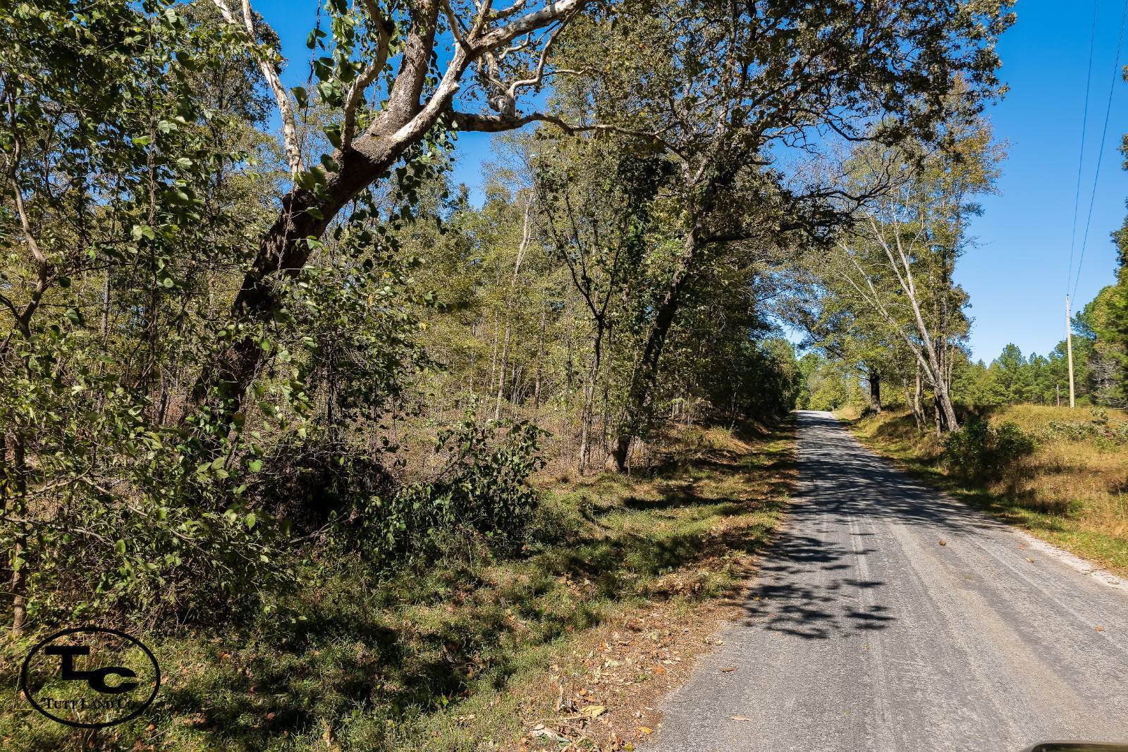 Dresden, TN 38225,0 Parham Rd