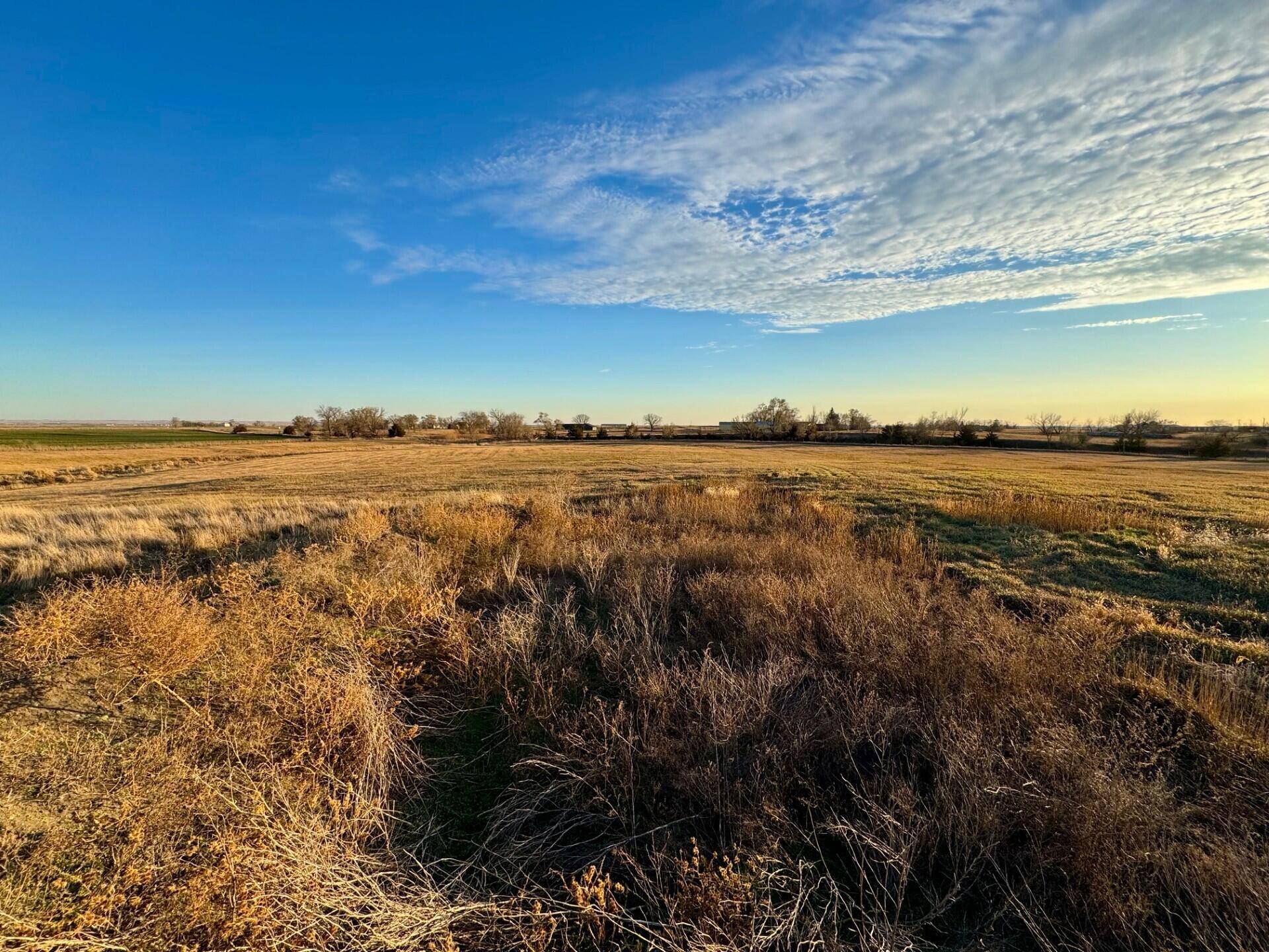 Armour, SD 57313,Lot 1 Vanderwerffs Addition
