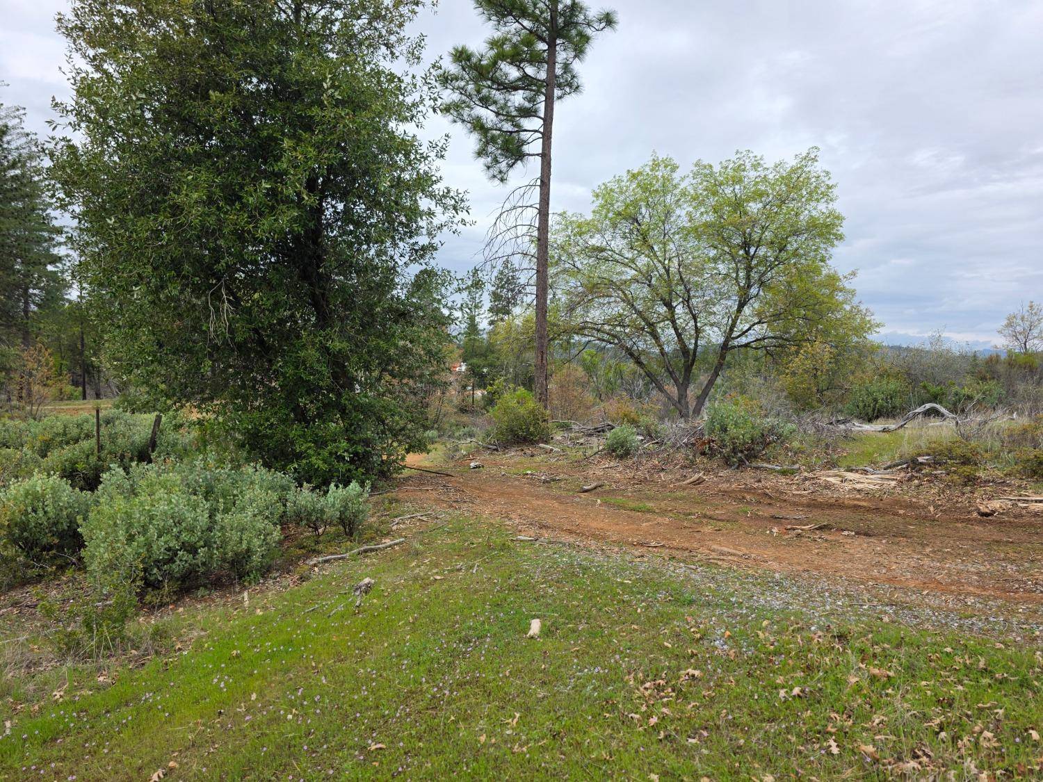 Mountain Ranch, CA 95246,9860 Whiskey Slide RD