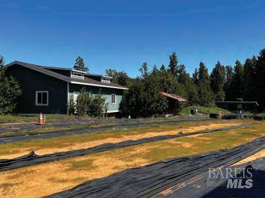 Cazadero, CA 95421,1370 Big Barn RD