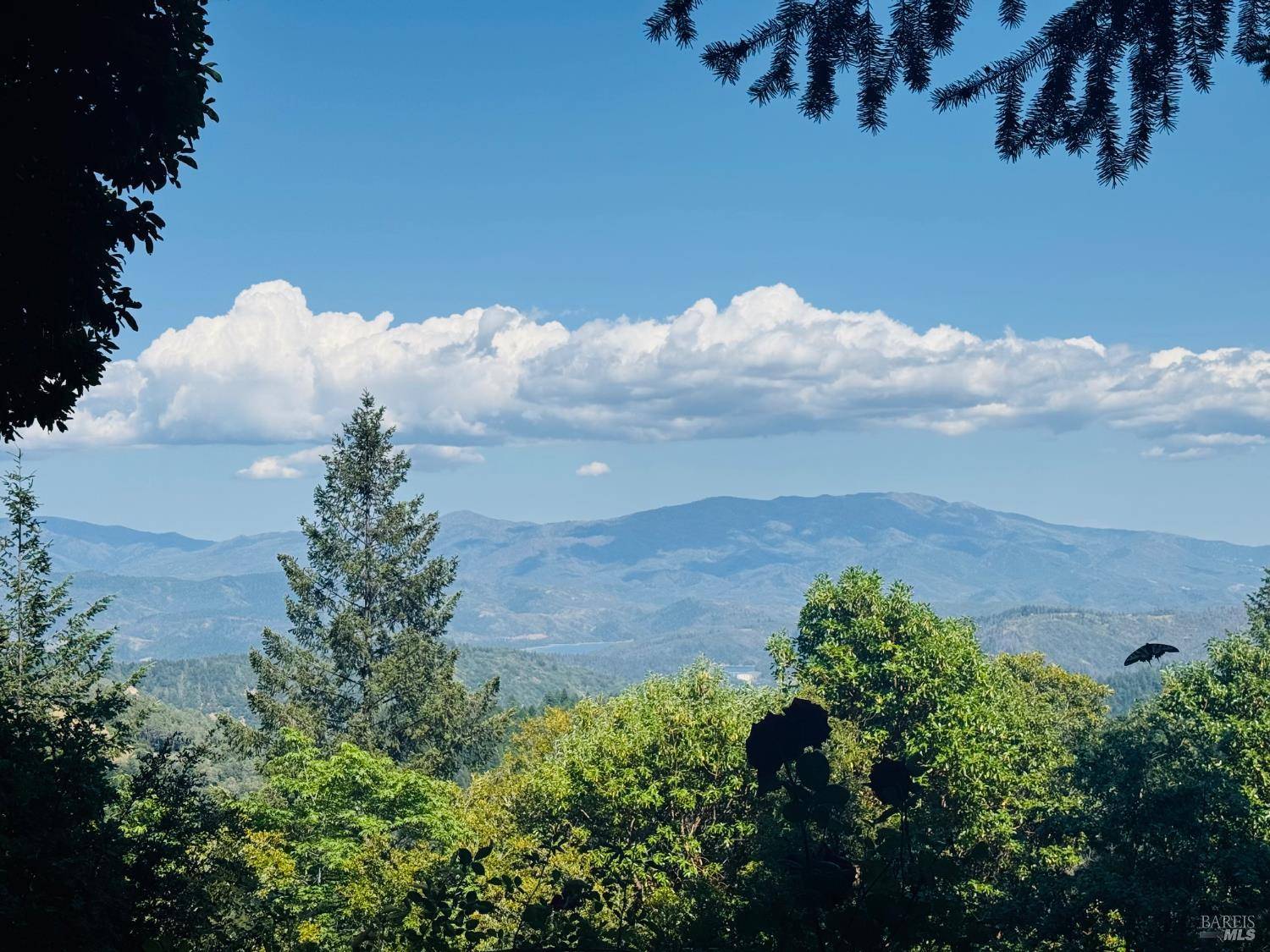 Potter Valley, CA 95469,26346 N 16th RD