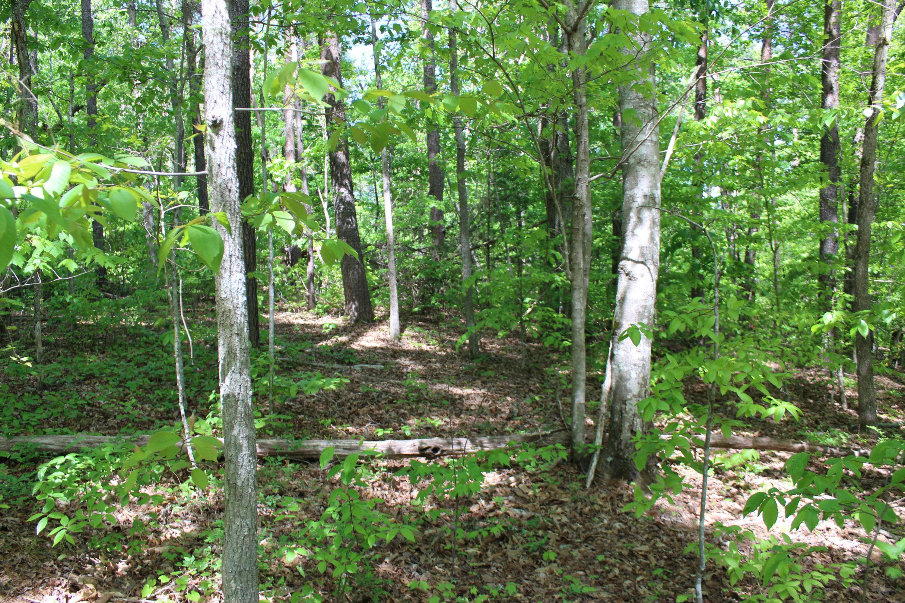 Dunlap, TN 37327,Lot Blue Sewanee RD