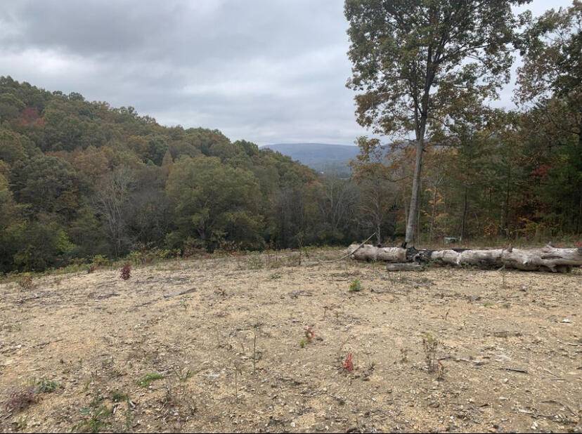 Dunlap, TN 37327,0 Deerwood DR