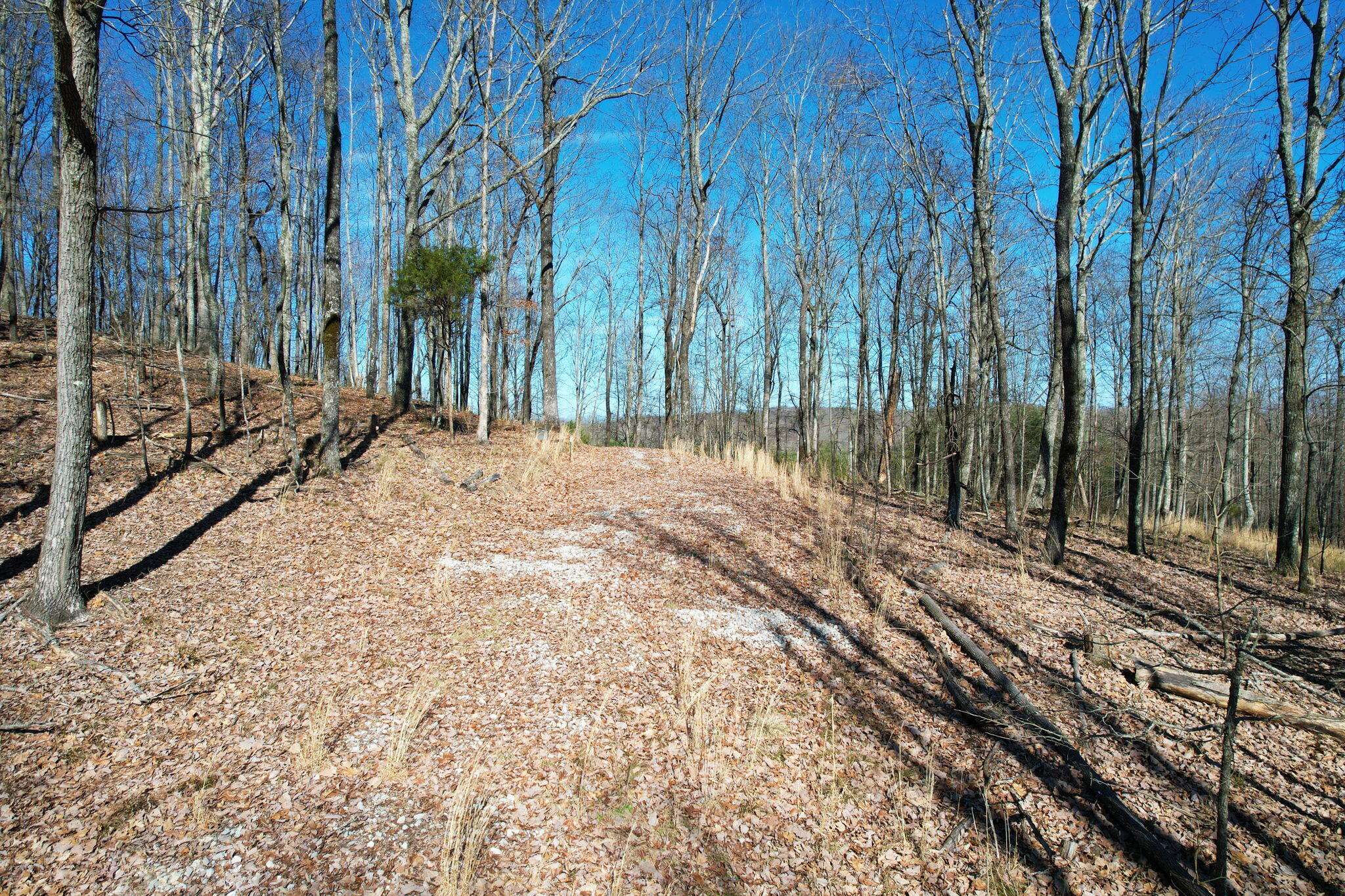 South Pittsburg, TN 37380,0 Nancy Wynn RD