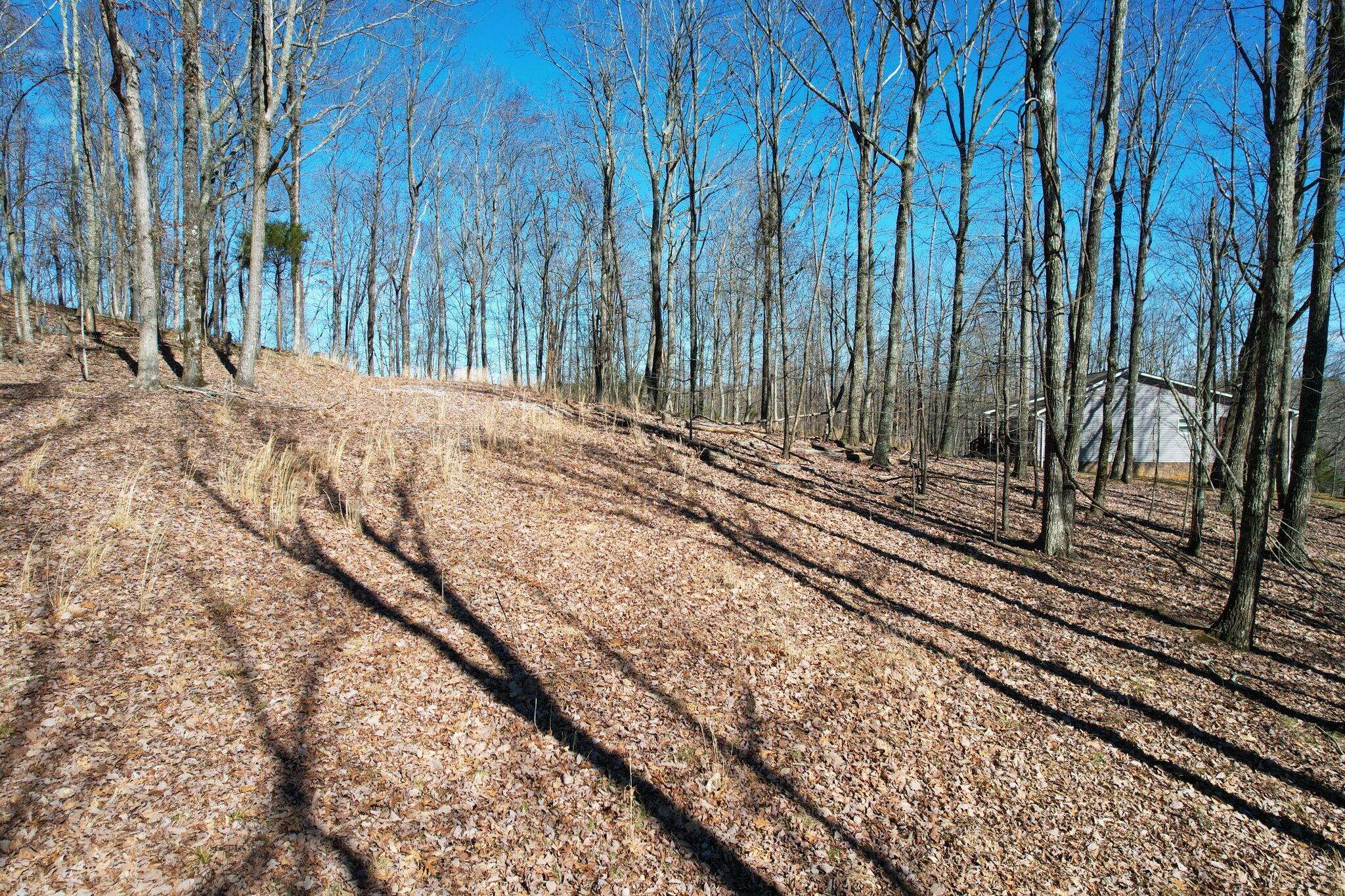South Pittsburg, TN 37380,0 Nancy Wynn RD