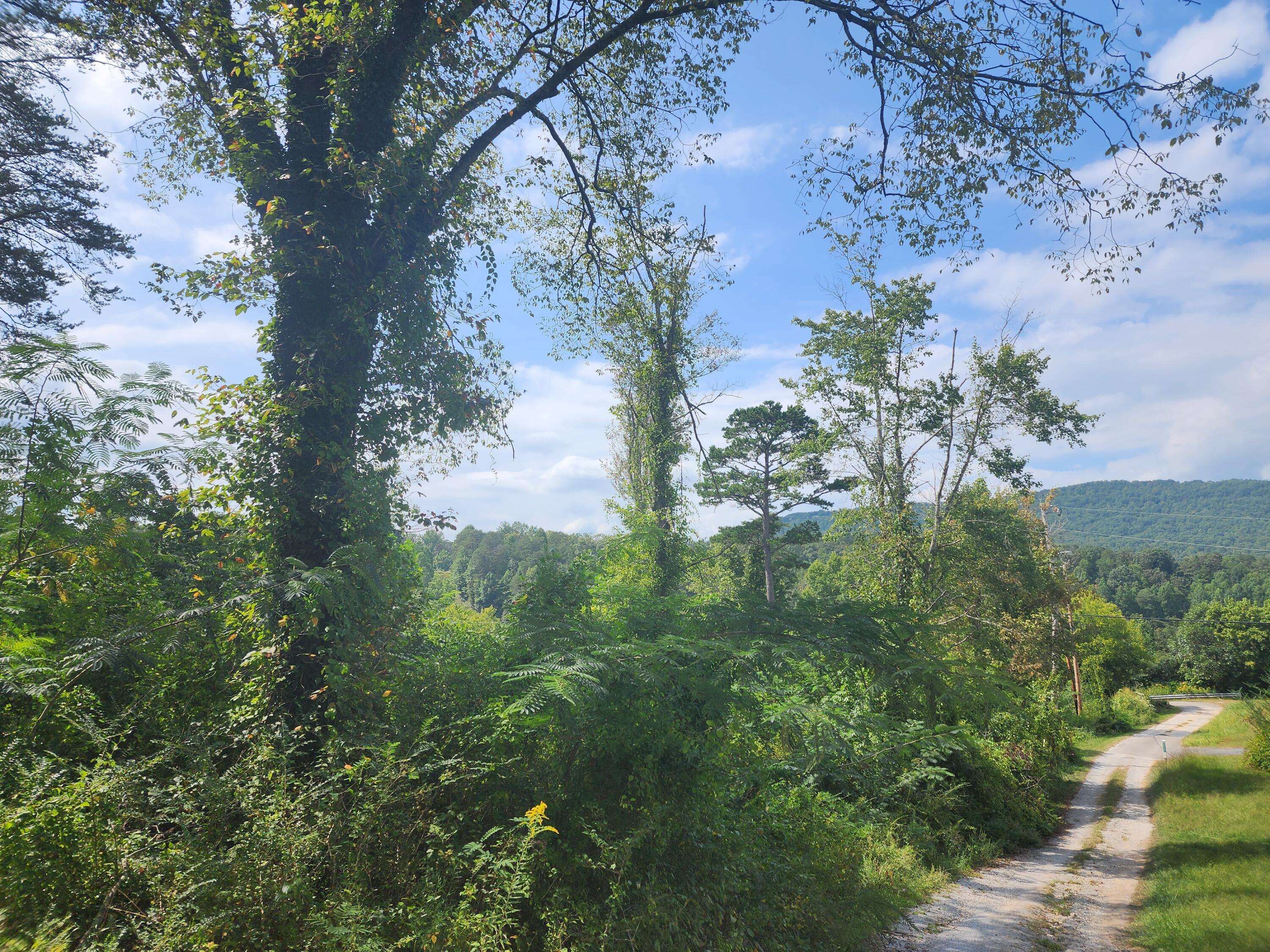Rockwood, TN 37854,25.2 Acres Spring City Highway