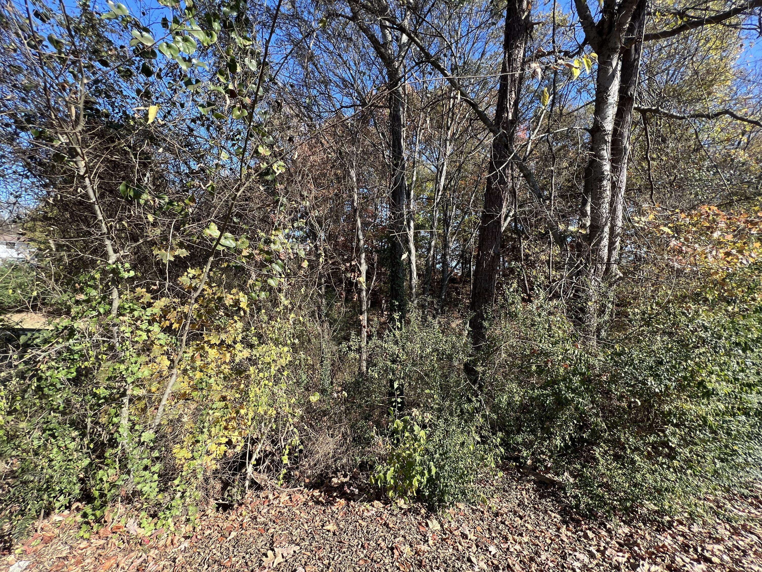 Soddy Daisy, TN 37379,0 Lakesite DR