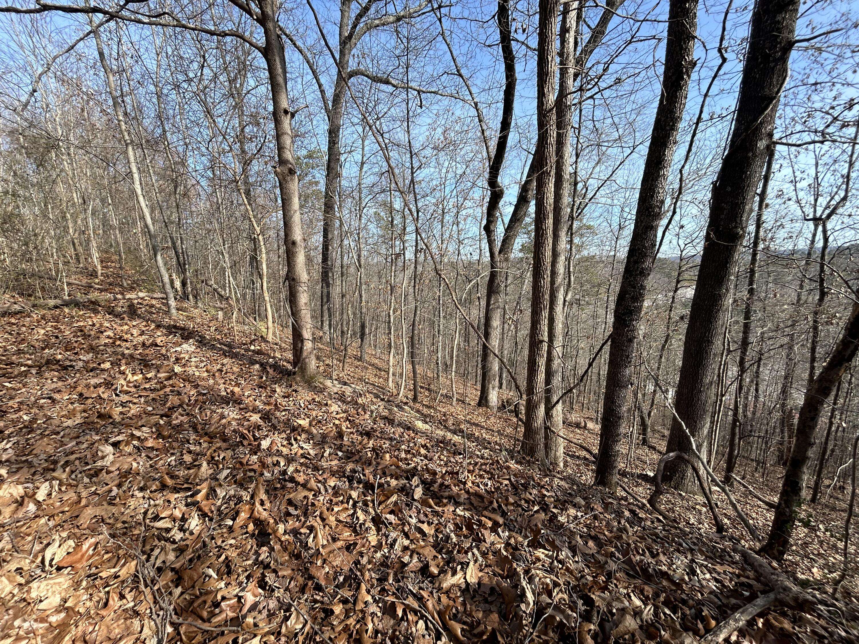 Chattanooga, TN 37421,0 Julian Ridge RD