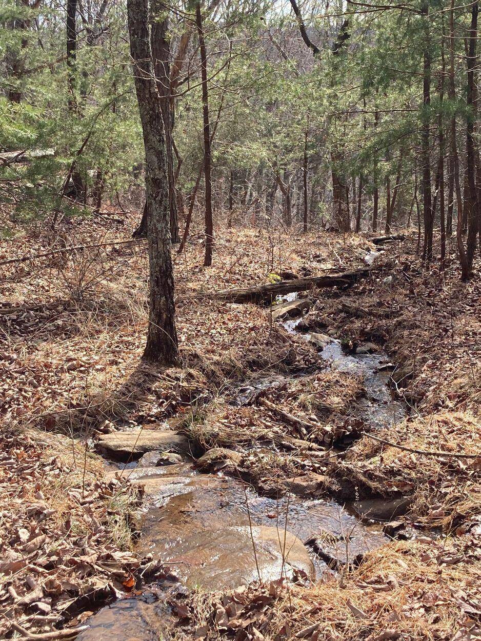 Signal Mountain, TN 37377,601 Grandview RD