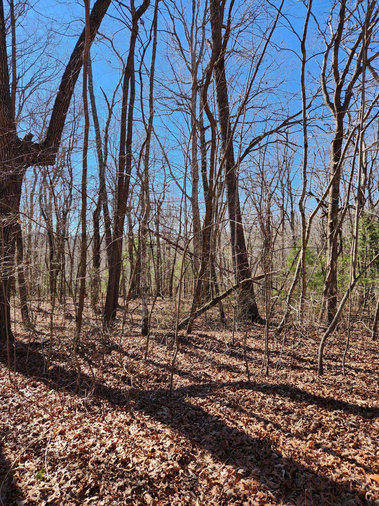 Crossville, TN 38558,18 Devon LOOP