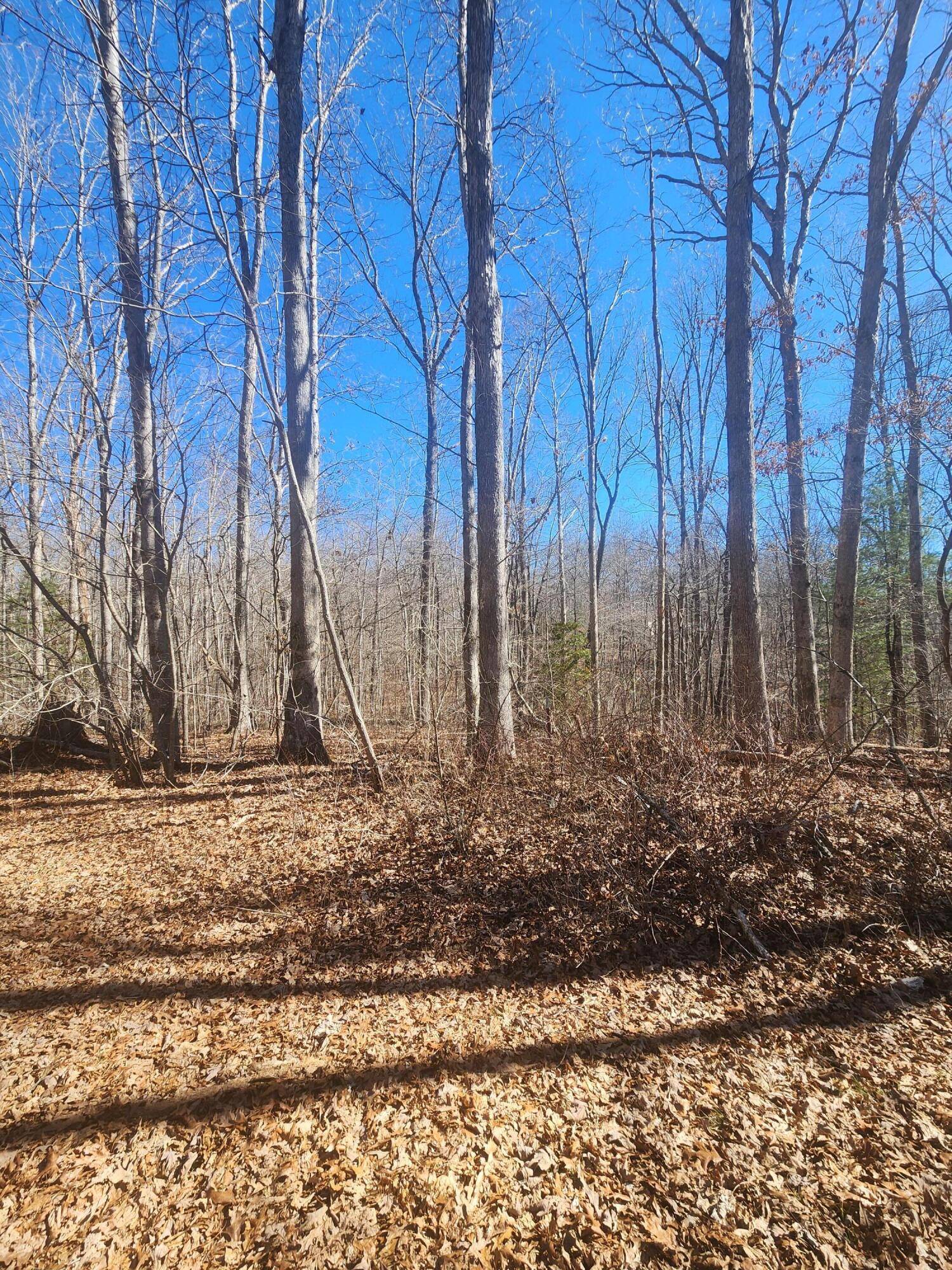 Crossville, TN 38558,18 Devon LOOP