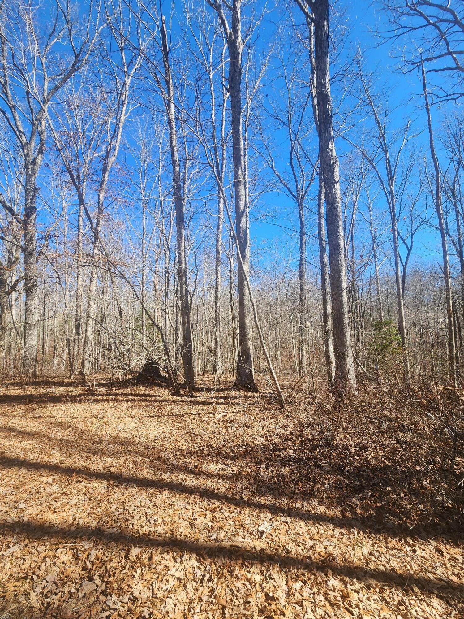 Crossville, TN 38558,18 Devon LOOP