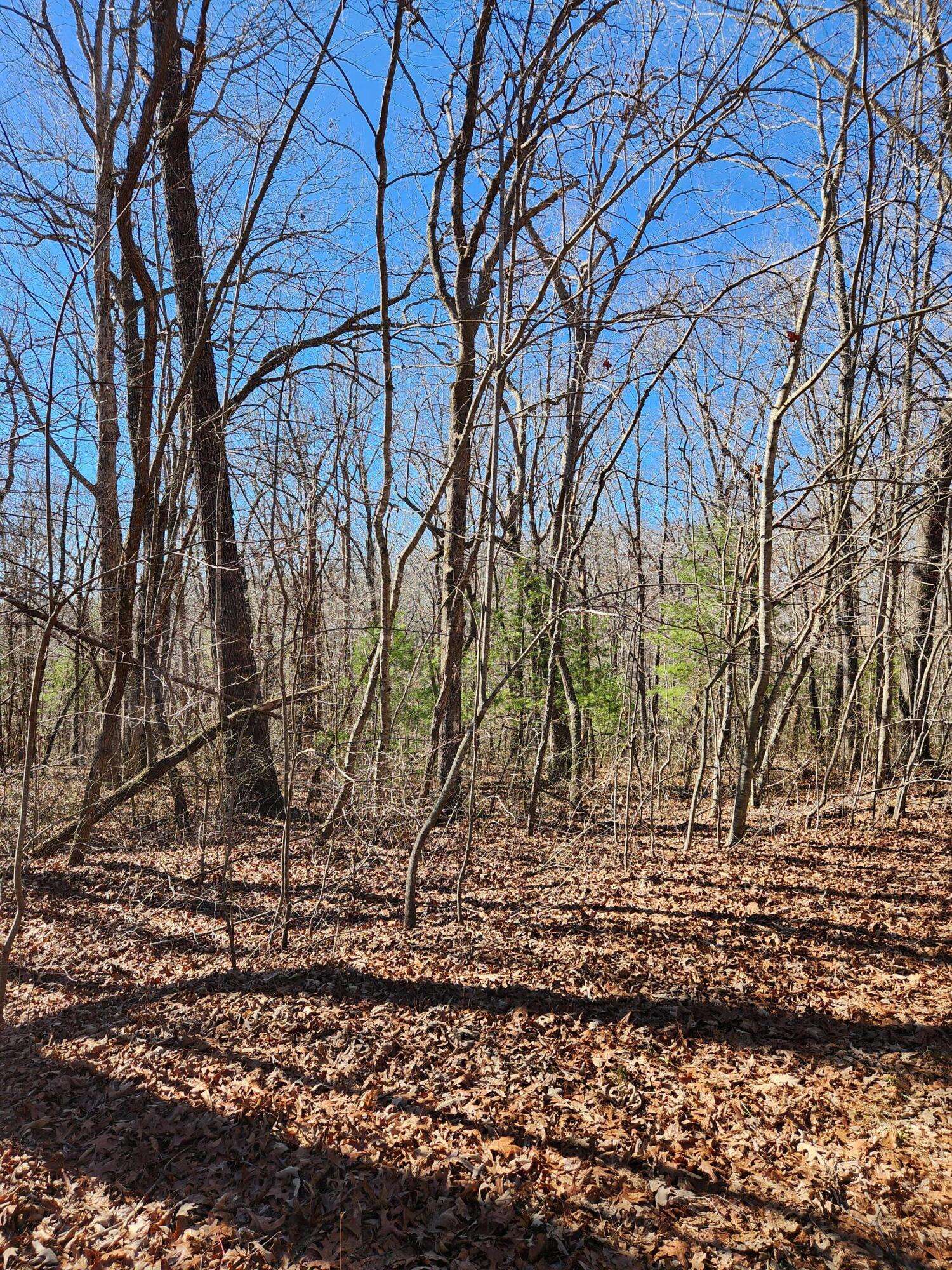 Crossville, TN 38558,22 Devon LOOP