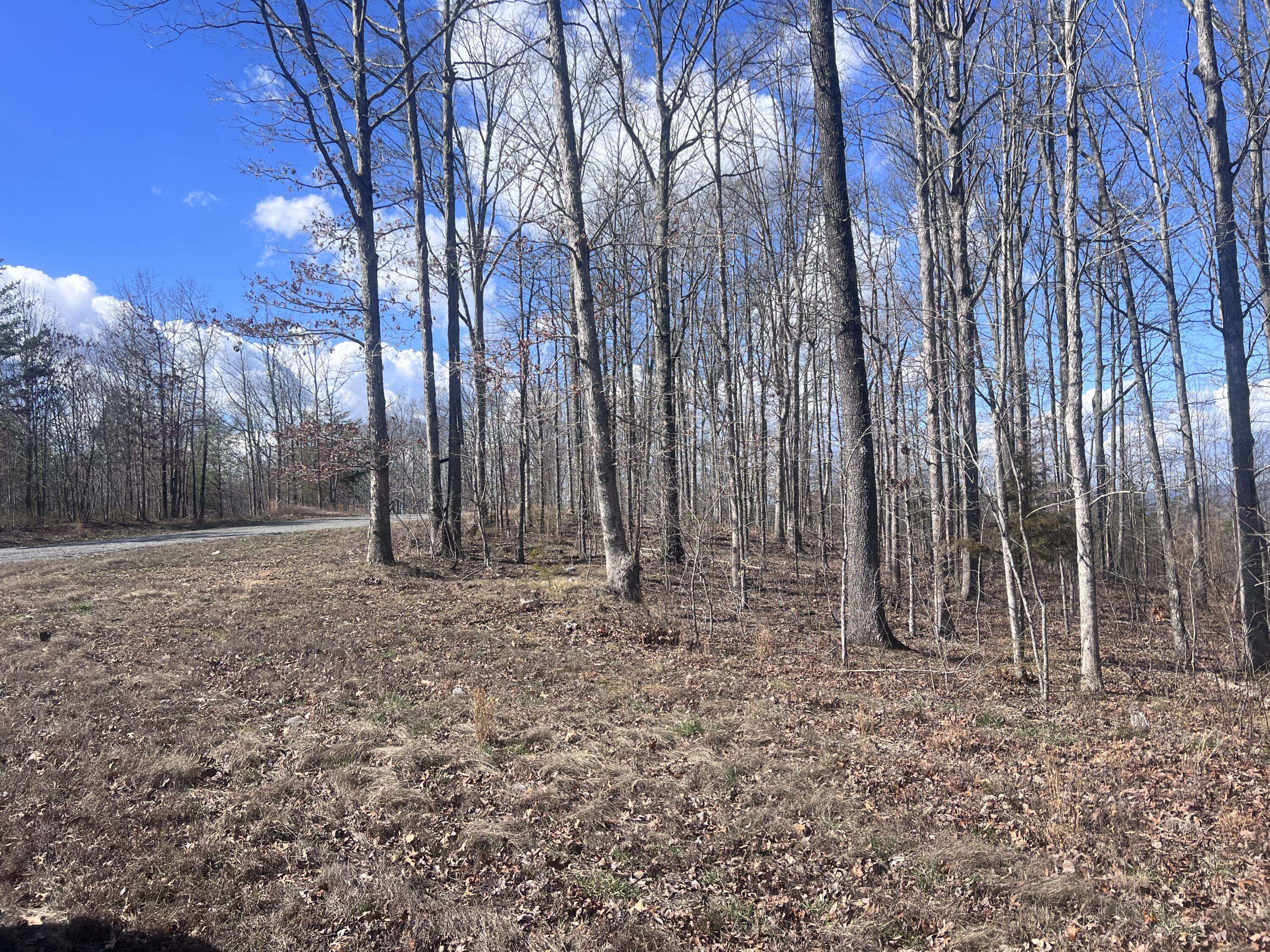 New Hope, TN 37380,0 Salolee West LN