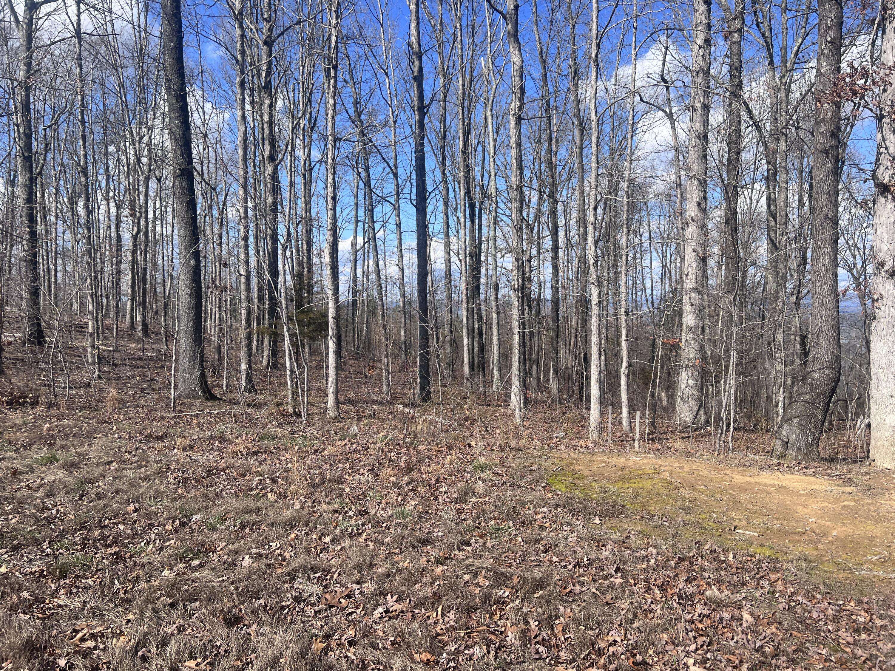 New Hope, TN 37380,0 Salolee West LN