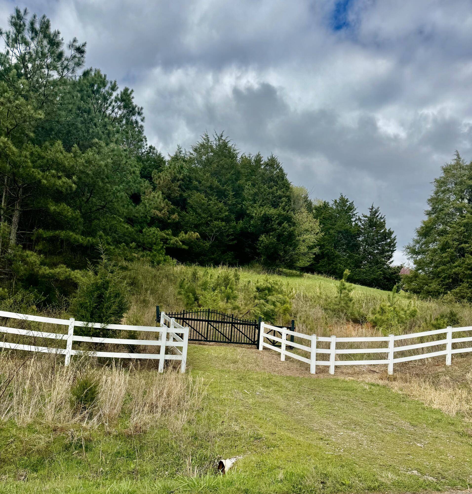 Decatur, TN 37322,00 Cottonport RD