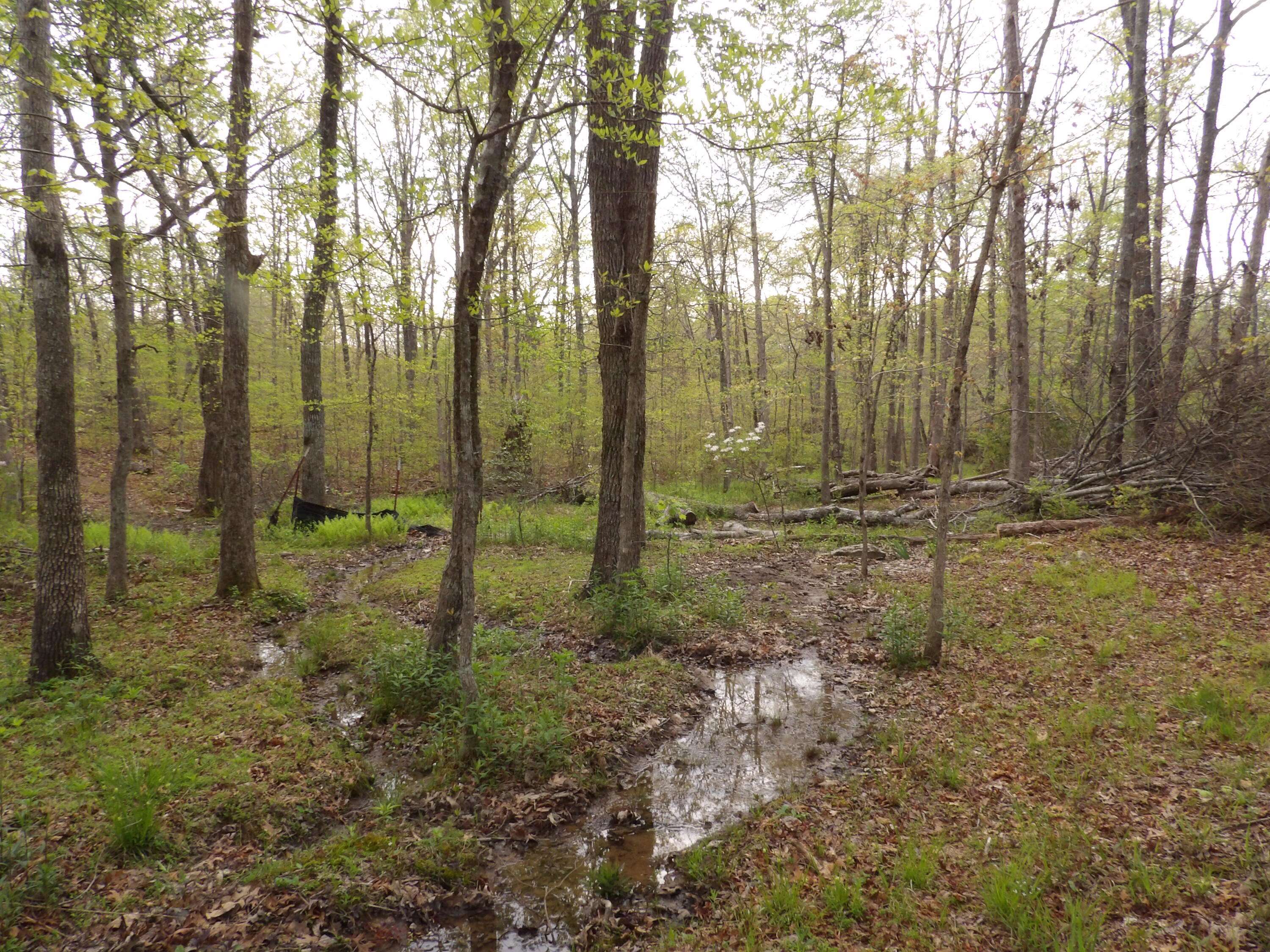 Pikeville, TN 37367,393 Timber View RD