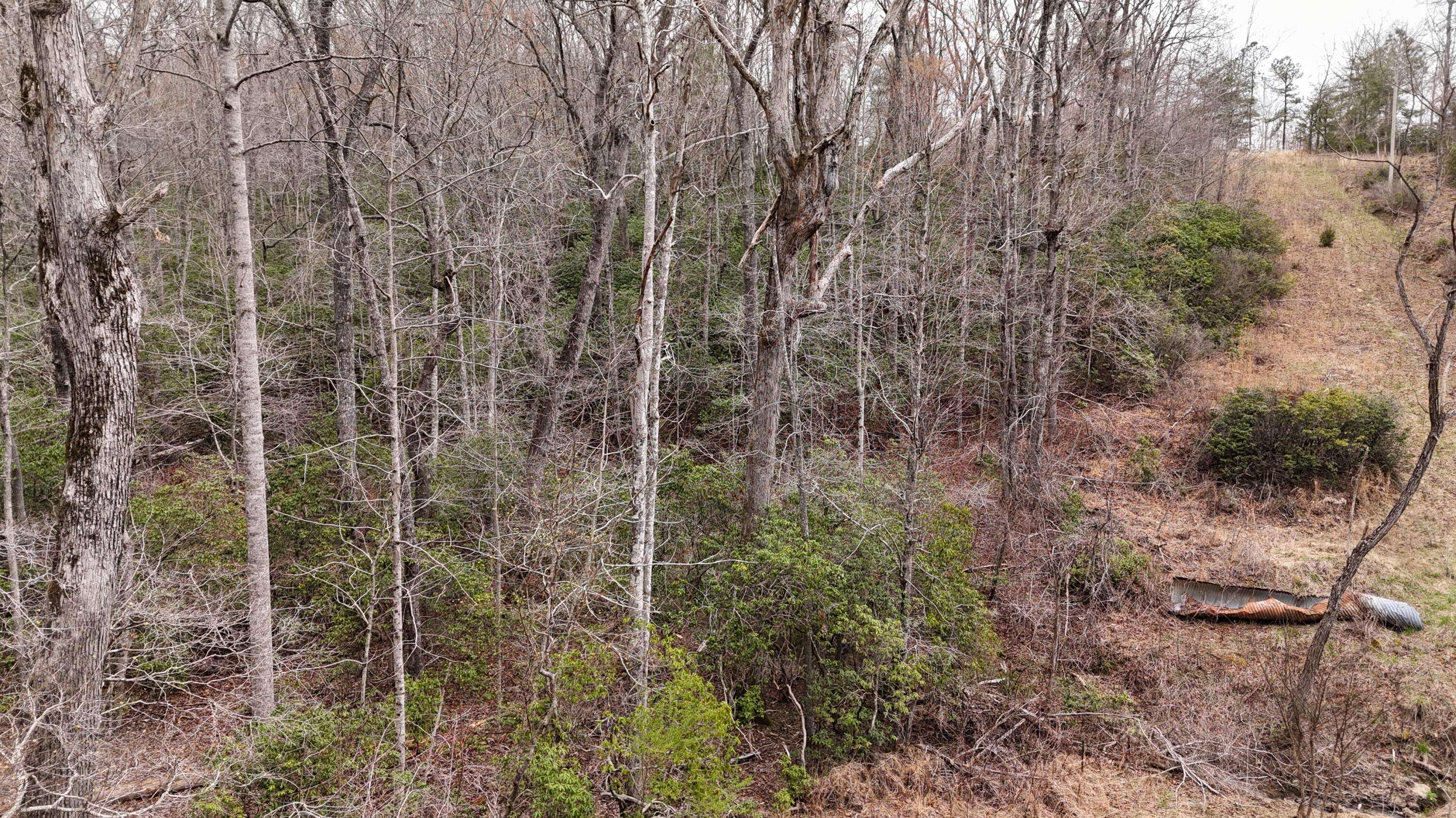 Spring City, TN 37381,1139 Chestnut Ridge RD