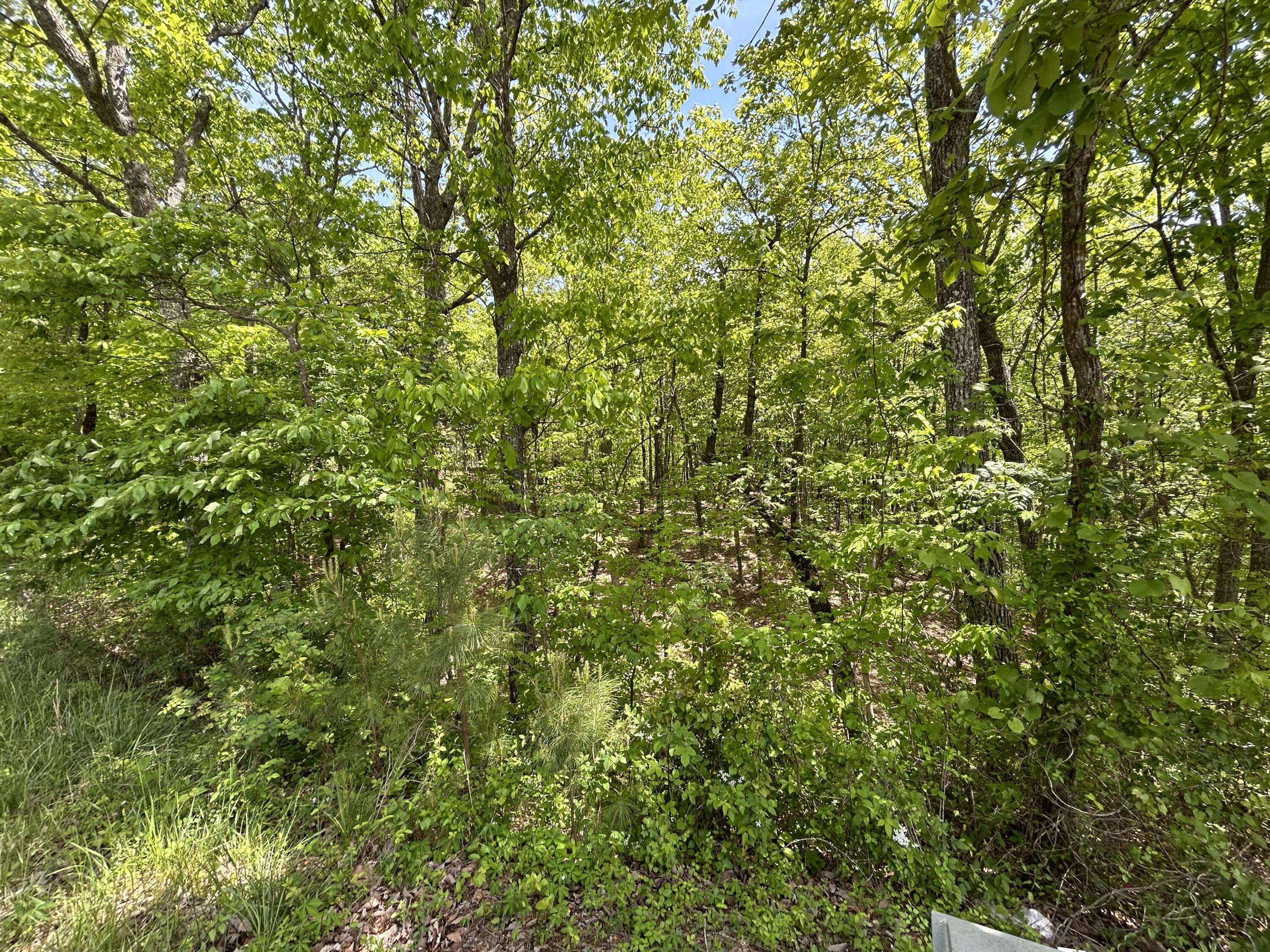 Jasper, TN 37347,225 Prospectors WAY